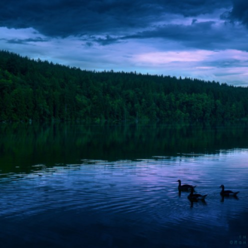 "All that we see or seem is but a dream within a dream." Shot at Hayward Lake in BC, Canada.